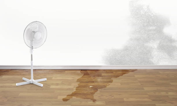 Best Fire Damage Restoration  in Chesterfield, SC