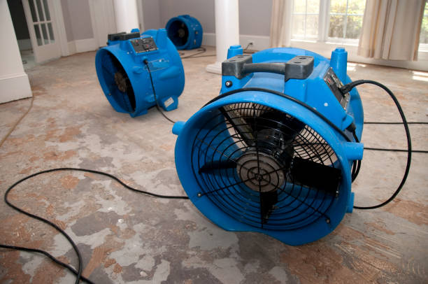Best Basement water damage restoration  in Chesterfield, SC