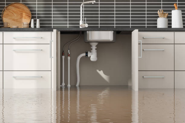 Best Water damage restoration near me  in Chesterfield, SC